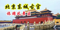 骚货肛交中国北京-东城古宫旅游风景区